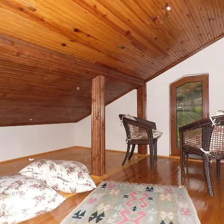 Mercan Villam Sapanca