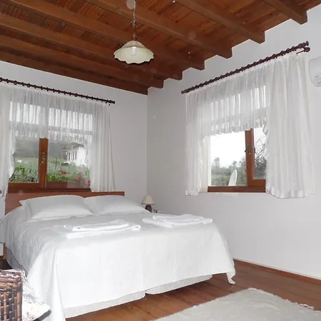 Mercan Villam Sapanca