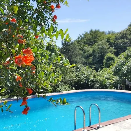Bed and breakfast Mercan Villam *