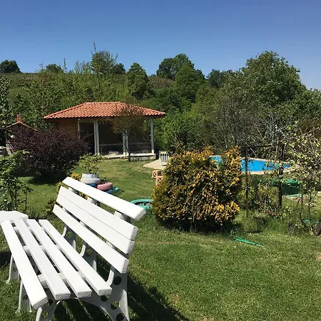 Mercan Villam * Sapanca