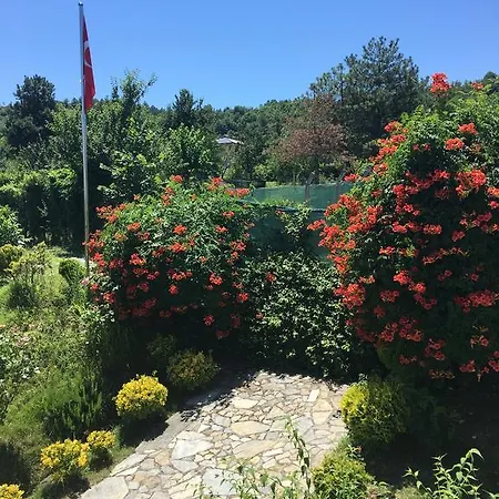 Mercan Villam Sapanca