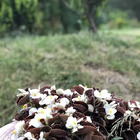 Mercan Villam Alojamento de Acomodação e Pequeno-almoço