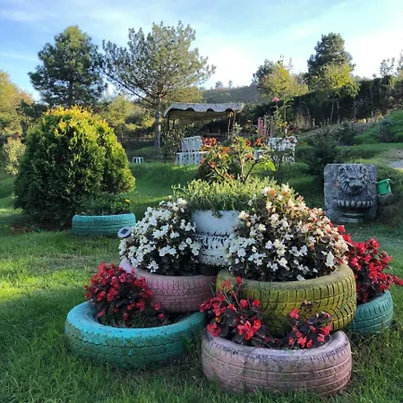 Bed & Breakfast Mercan Villam *