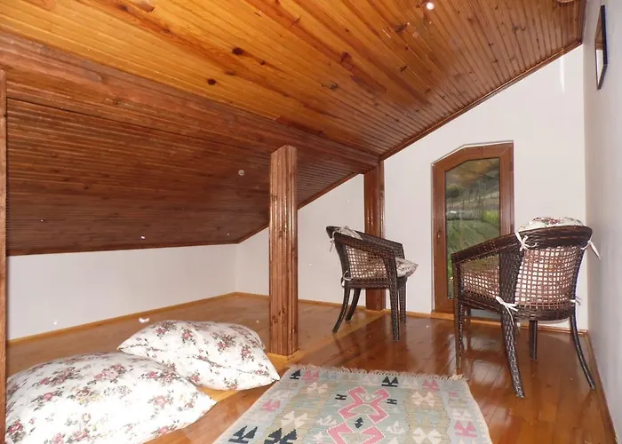 Mercan Villam Сапанча