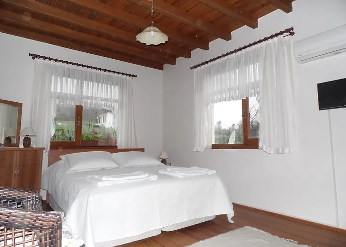 Mercan Villam Сапанча