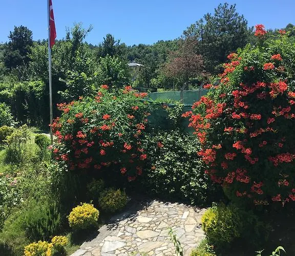 Mercan Villam Сапанча