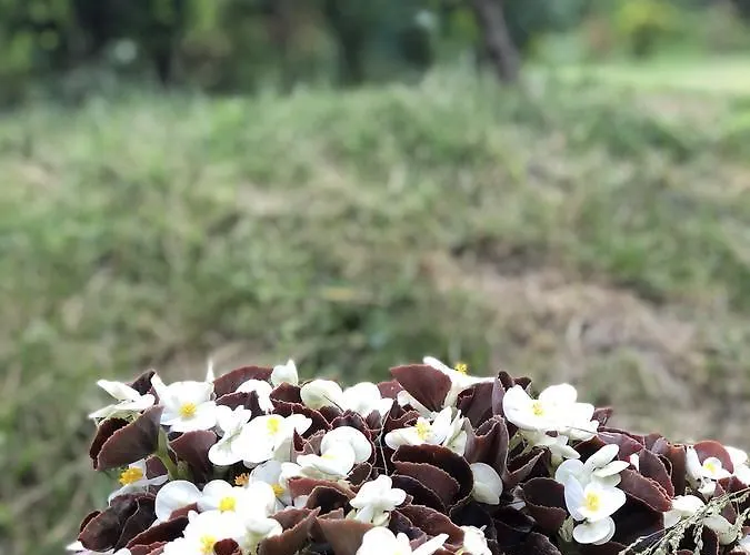 Mercan Villam Отель типа 